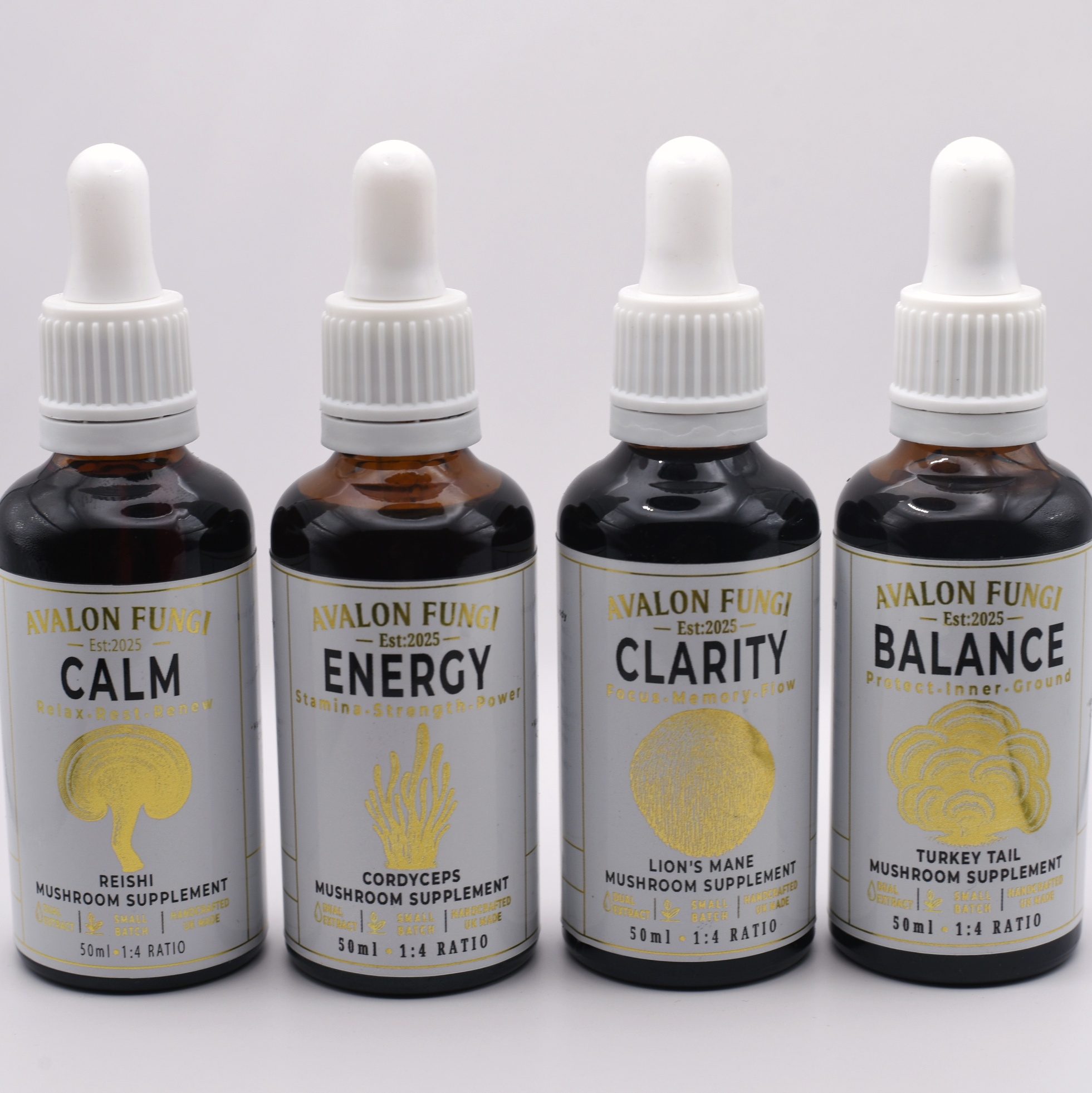 Home mushroom supplement bundle 50ml