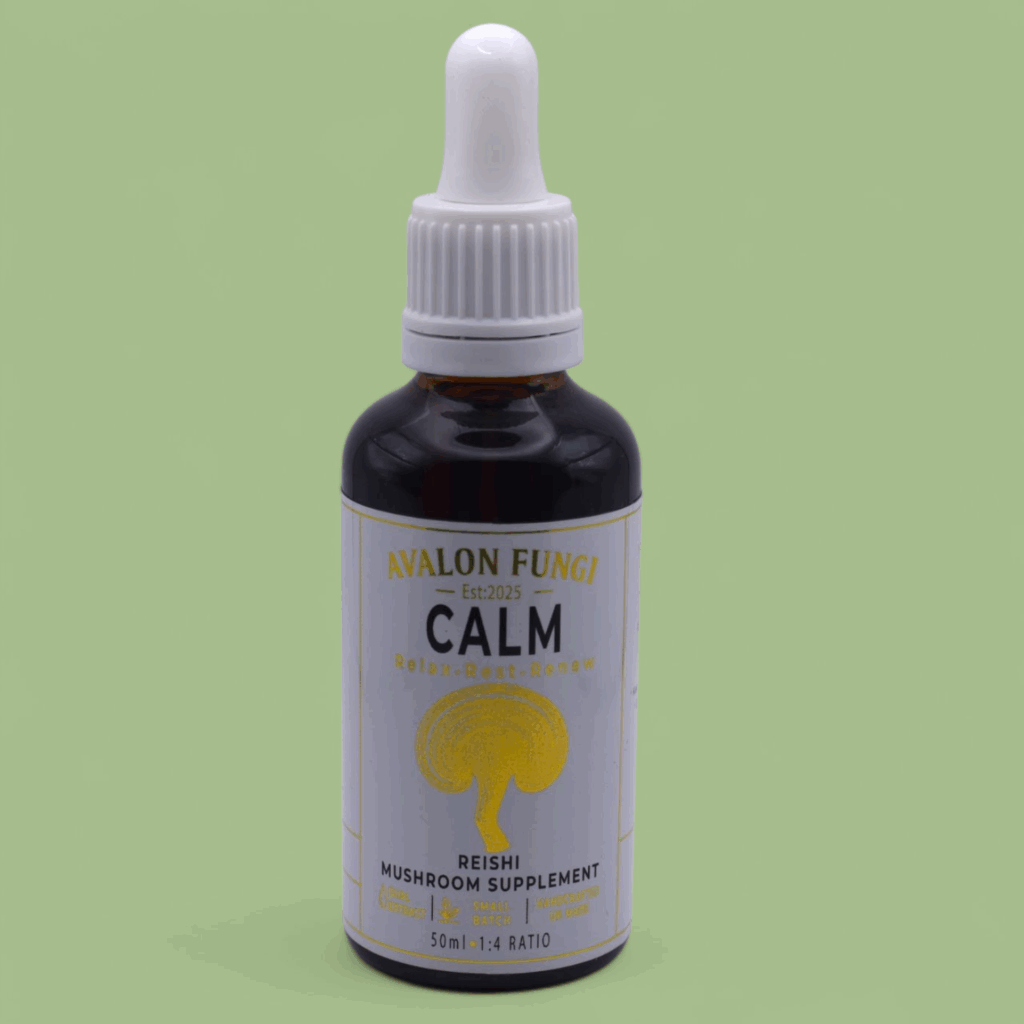 Reishi Mushroom Benefits & Uses | Avalon Fungi lion's mane mushroom supplement 50ml