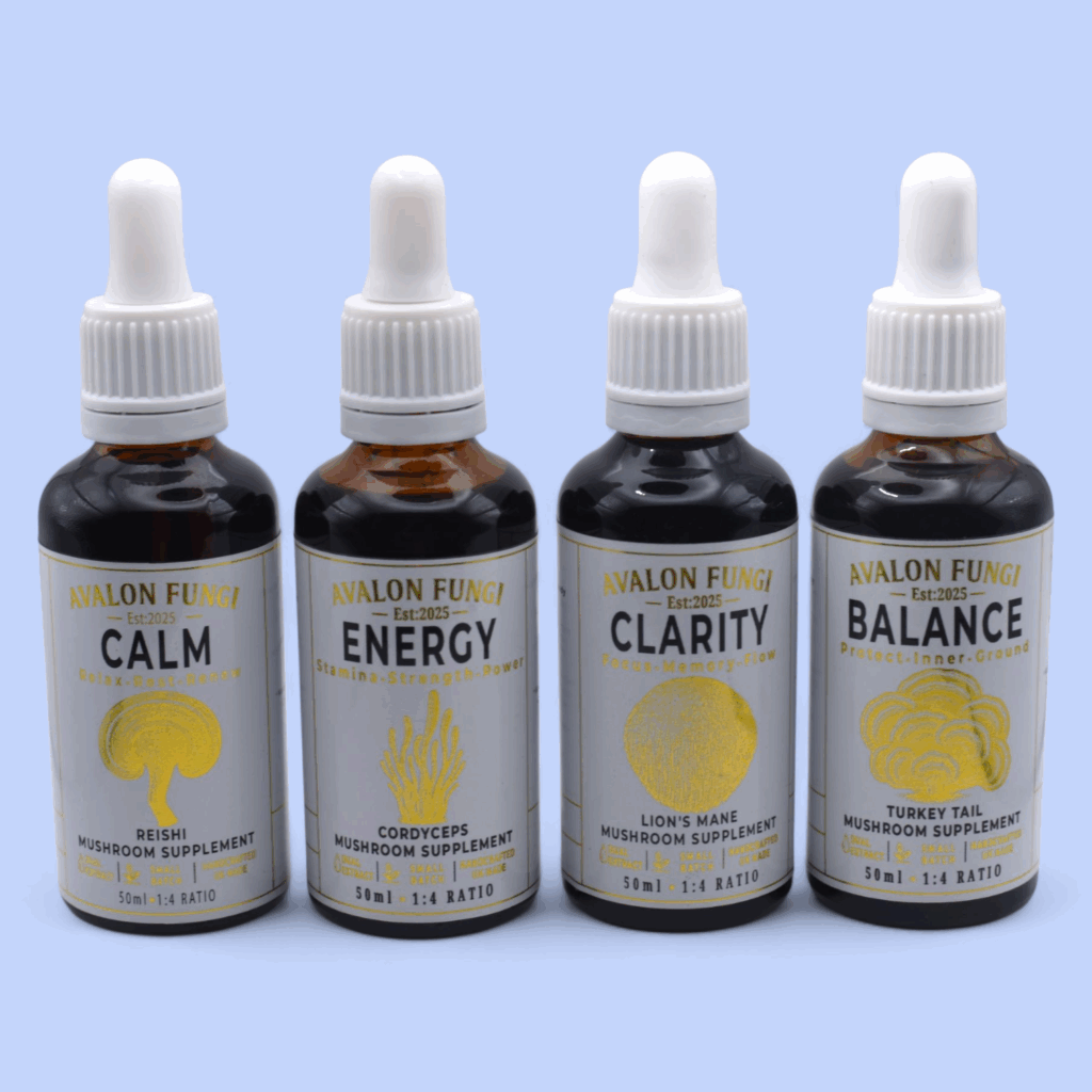 mushroom supplement 50ml