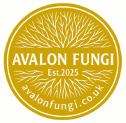 file 00000000bb44620ab47245436bf474c6